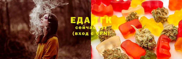 спиды Каменногорск