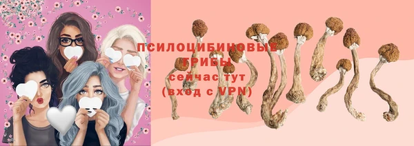 бутират Каменск-Шахтинский