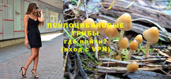 спиды Каменногорск