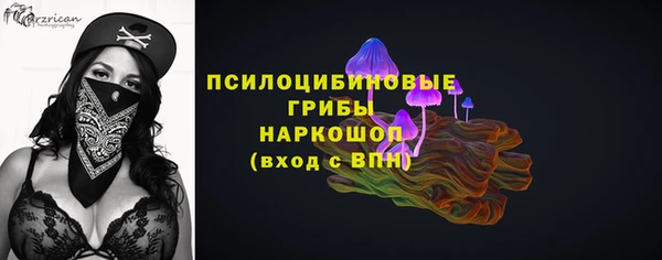 СК Каменка