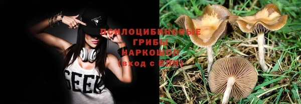 бутират Каменск-Шахтинский